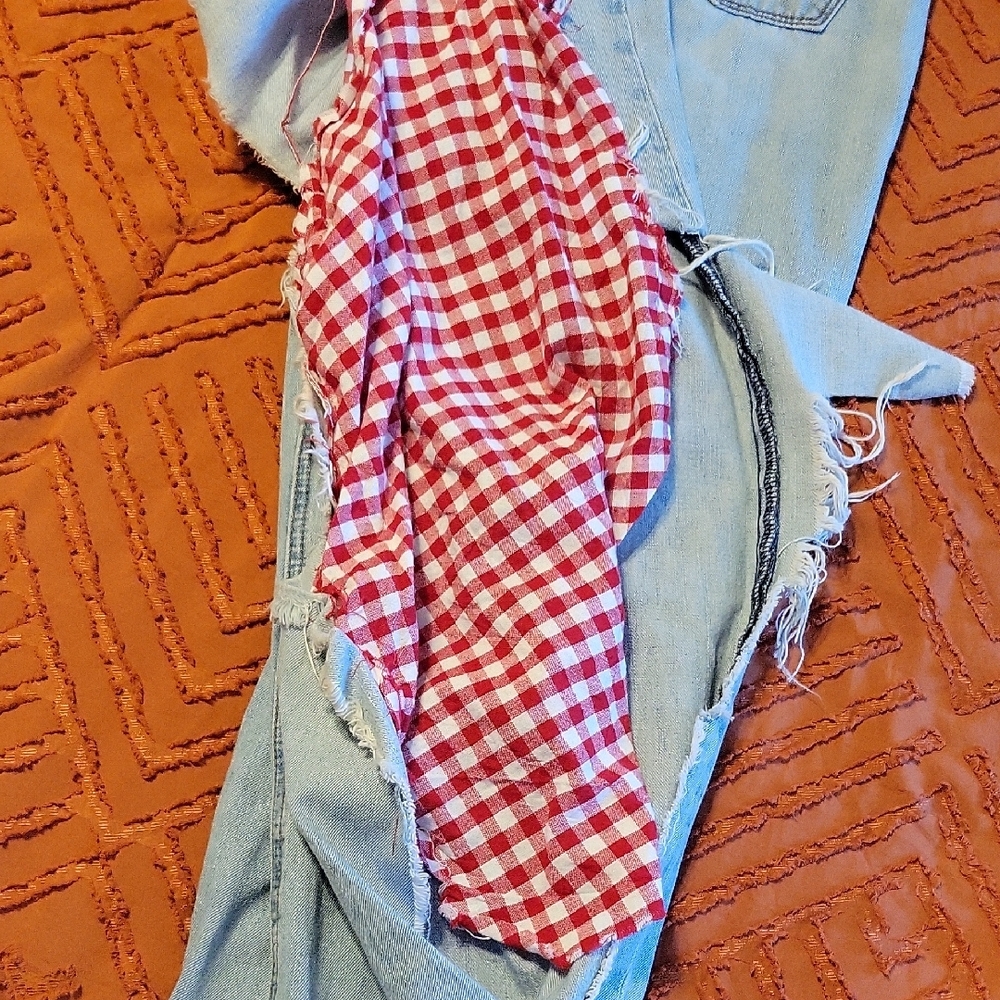 Empyre Light Blue Distressed Jeans with Red Accents - Picture 5 of 9
